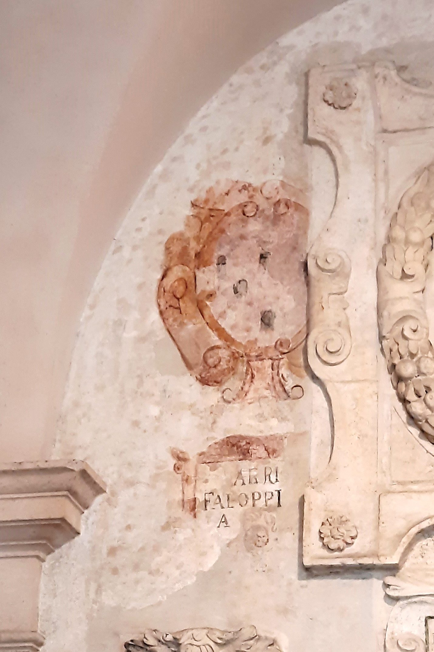 Gabriele Falloppia's coat of arms, Palazzo Bo, Padua (2).jpg